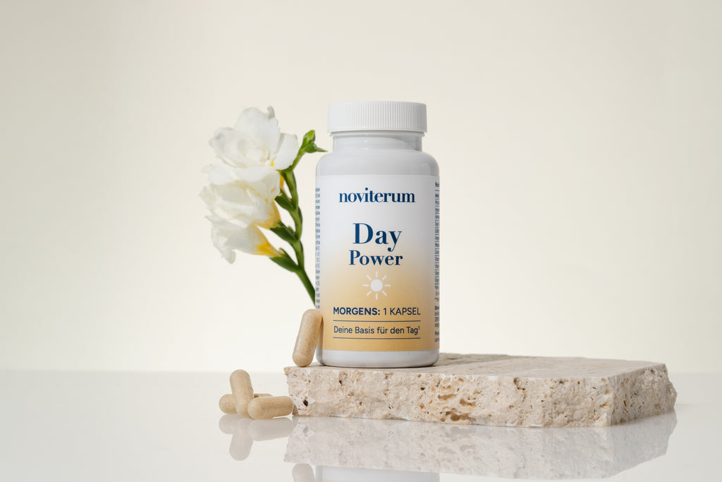 Noviterum Day & Night